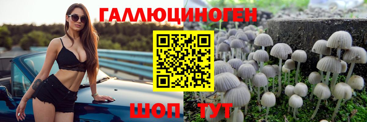 Псилоцибиновые грибы ЛСД  Вход с VPN  Солнечногорск 
